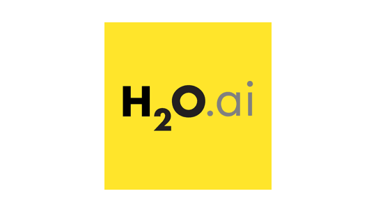 Logo for H2O Driverless AI