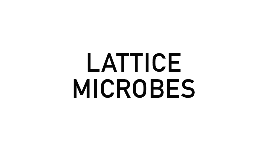 Logo for Lattice Microbes