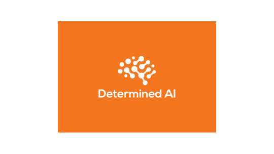 Logo for Determined AI